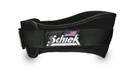 Schiek 2006 6